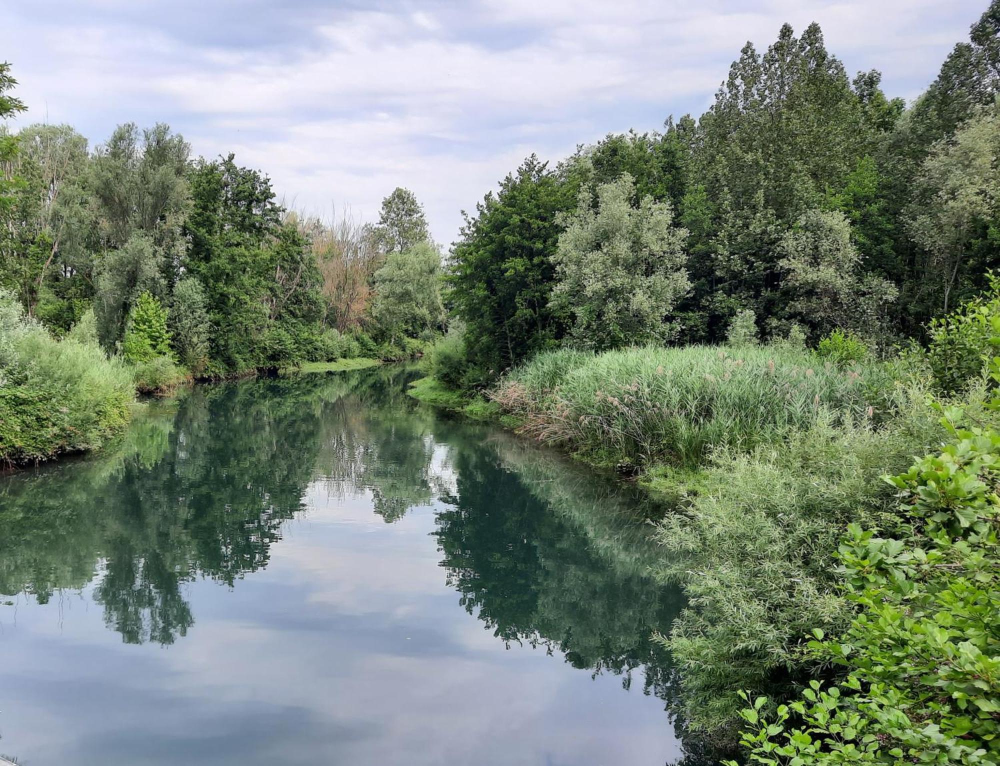 Siore Marie Gli Alloggi San Giórgio di Nogaro 外观 照片